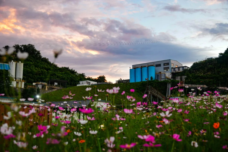 8904e617a36945e281c961920dfc348d